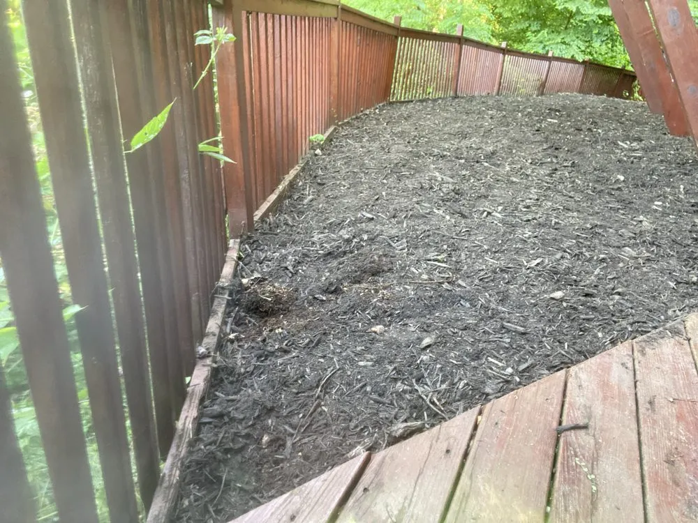 Reliable landscaping services for year-round maintenance in Canton, NC by Triple M Home Maintenance