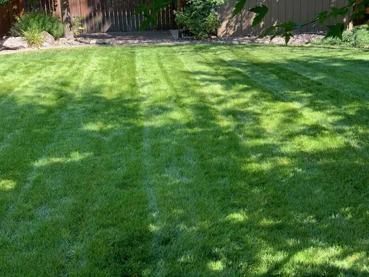 Triple M Lawn Care Logo