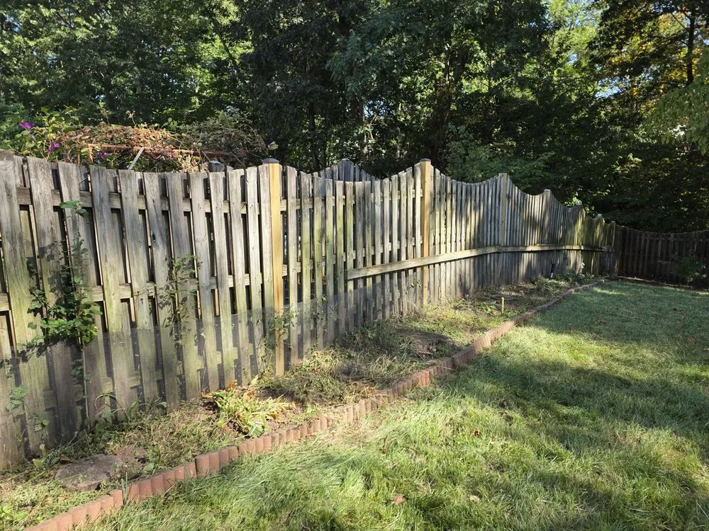 Local yard cleanup service in Manassas, VA by Triple M&E