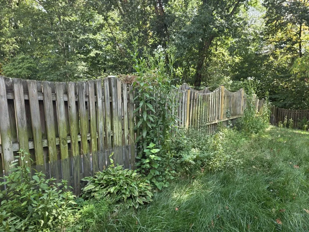 Professional yard cleanup service in Manassas, VA - Triple M&E