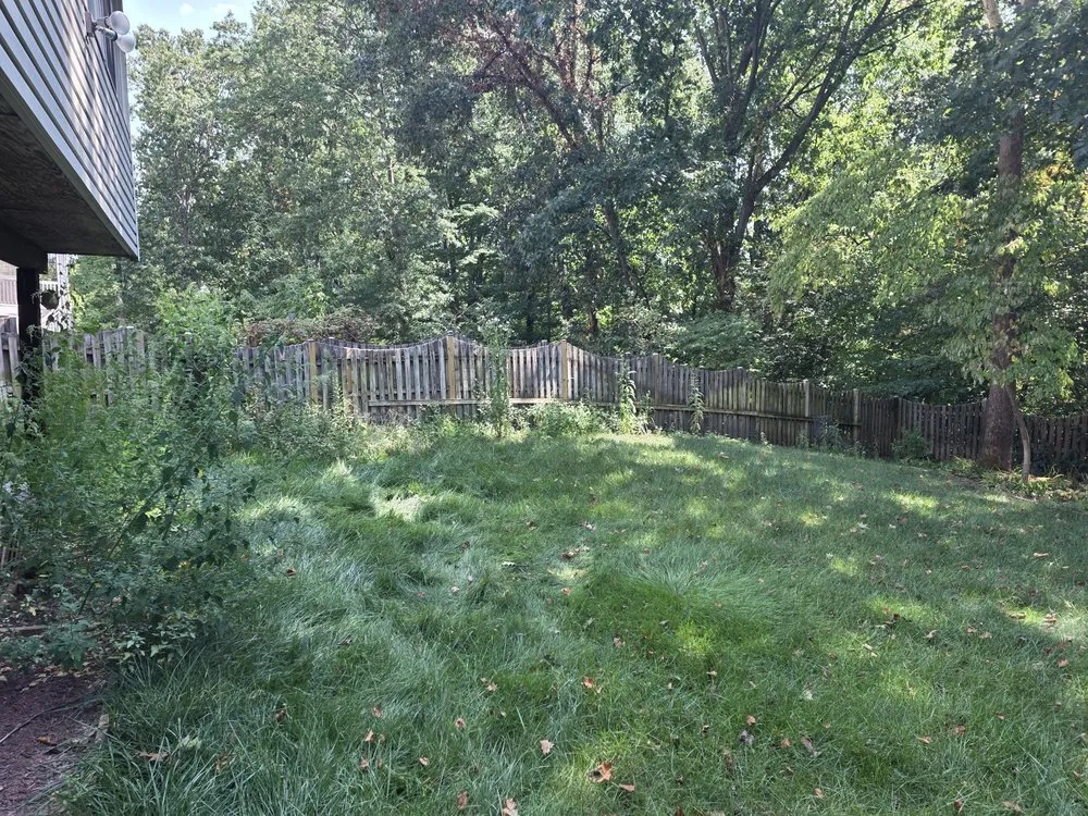 Top-rated landscaping services for residential properties across Manassas, VA - Triple M&E