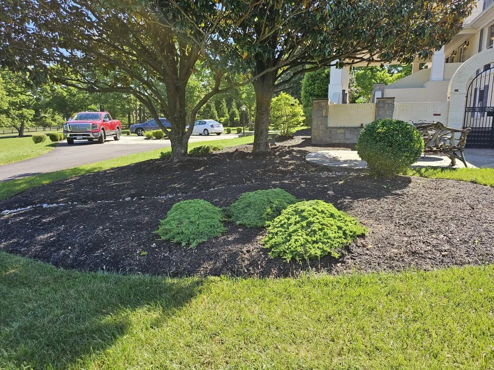 Top-rated lawn mowing service in Manassas, VA by Triple M&E