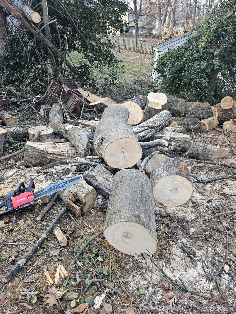 Local lawn mowing service for residential properties in Manassas, VA by Triple M&E