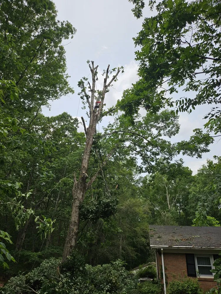 Reliable residential landscaping for homes across Manassas, VA - Triple M&E