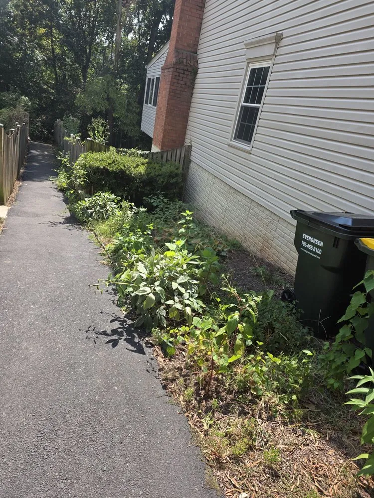 Expert yard maintenance for residential properties across Manassas, VA - Triple M&E