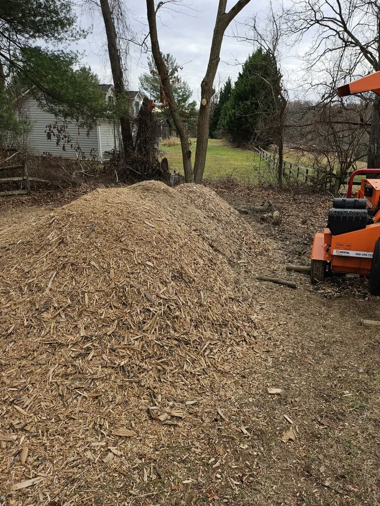 Affordable lawn care service in Manassas, VA by Triple M&E