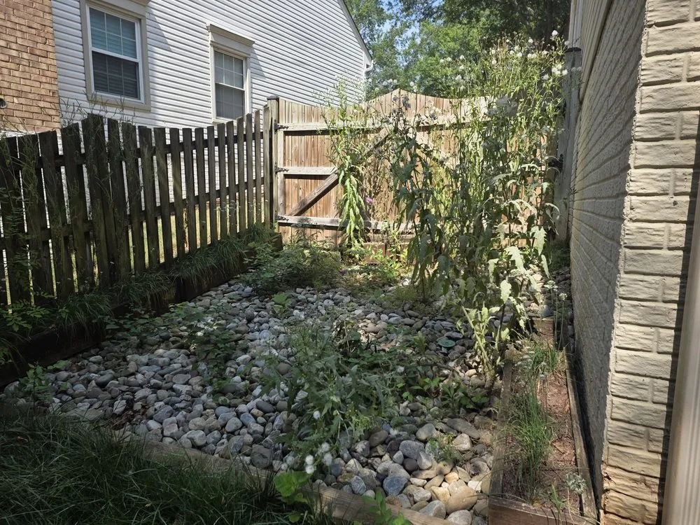 Top-rated yard cleanup service for beautiful yards in Manassas, VA by Triple M&E