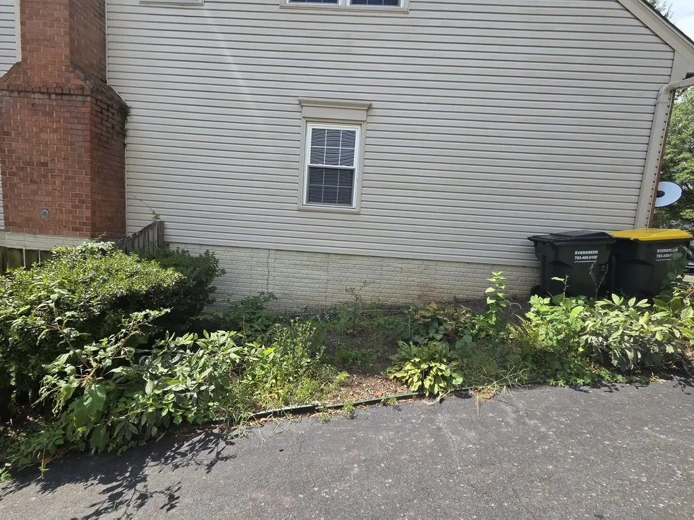 Local yard maintenance experts serving Manassas, VA - Triple M&E