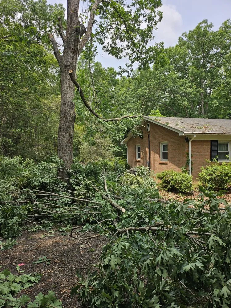 Top-rated landscaping services experts serving Manassas, VA - Triple M&E