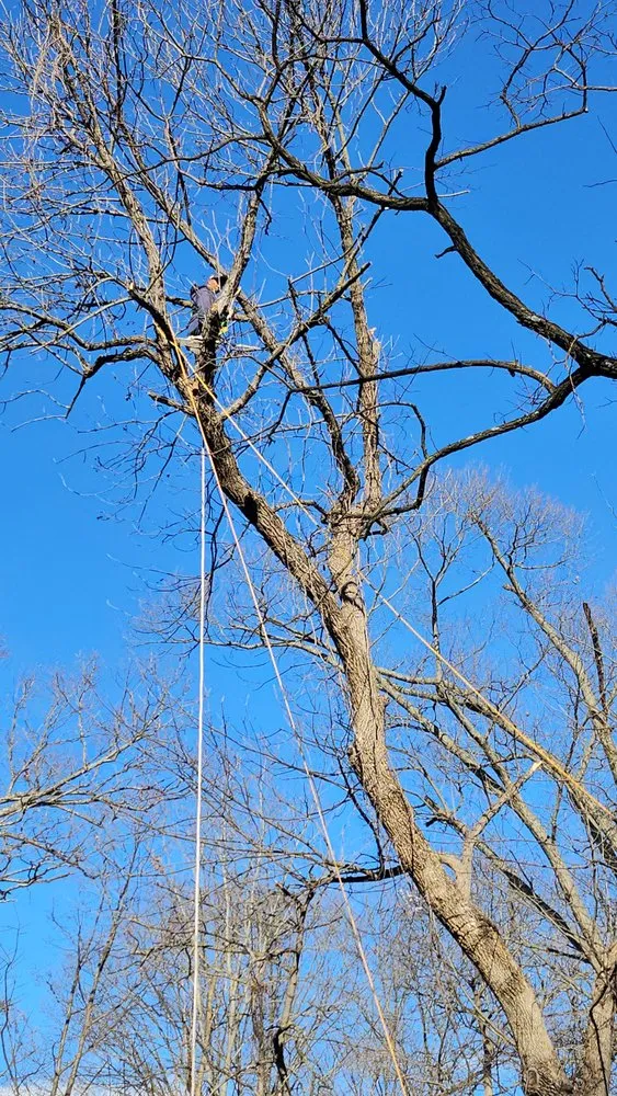 Affordable residential landscaping for year-round maintenance across Manassas, VA - Triple M&E