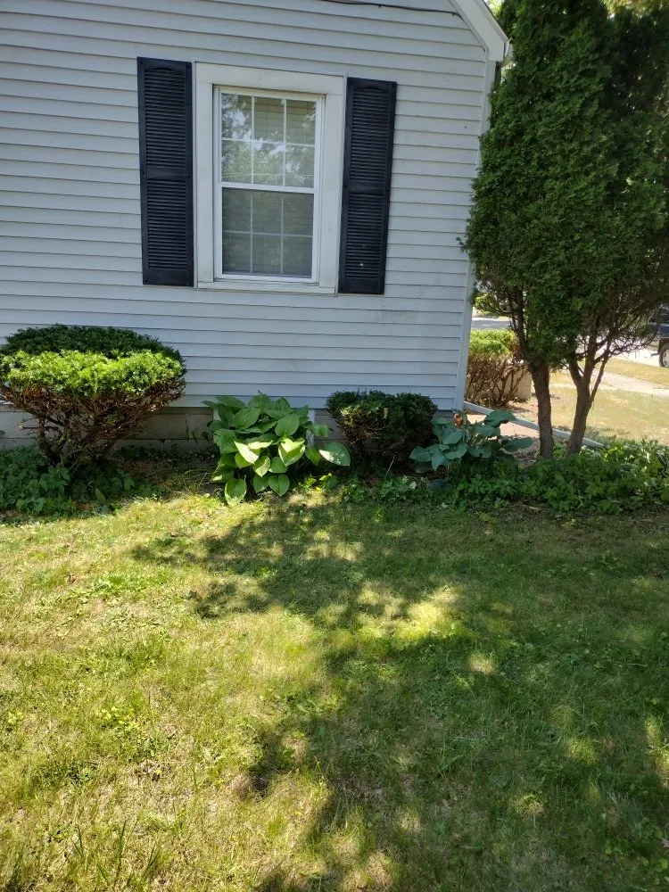 Top-rated yard cleanup service experts serving Saginaw, MI - Triple O's Lawncare
