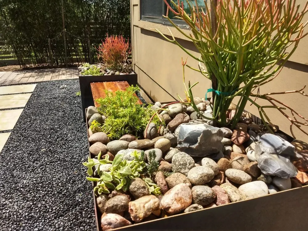 Trusted lawn care service for homes across Austin, TX - Triple P Outdoor Design