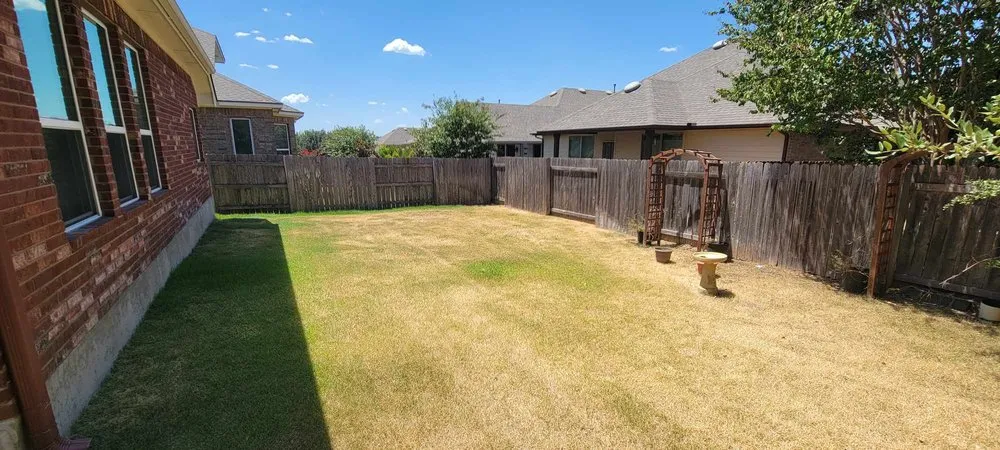 Top-rated yard cleanup service in Austin, TX by Triple P Outdoor Design