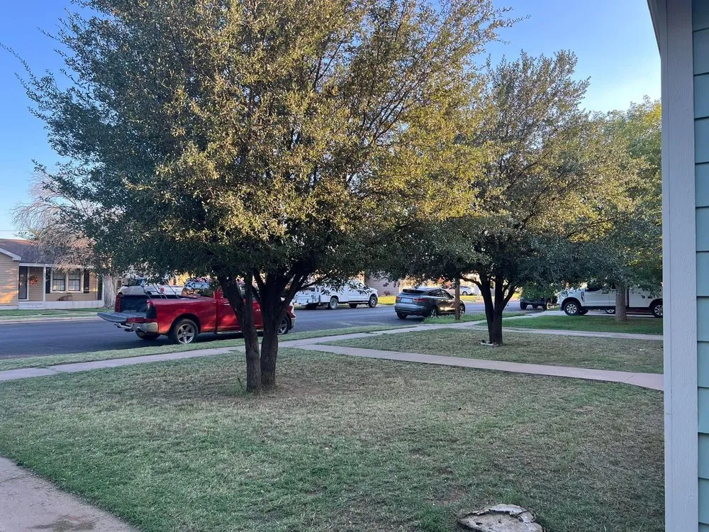 Professional yard maintenance near you in Midland, TX by Triple Q Lawn & Yard Care