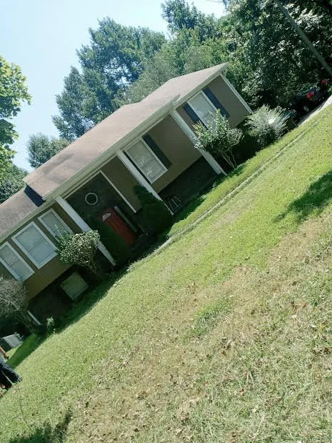 Professional landscaping services for outdoor upgrades in Birmingham, AL by Triple R Effect