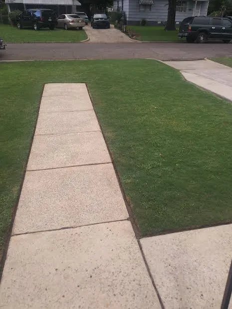 Trusted landscape installation experts serving Birmingham, AL - Triple R Effect