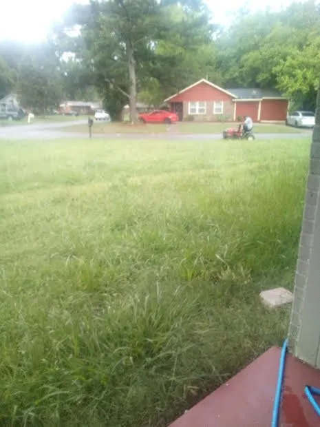 Local garden landscaping experts serving Birmingham, AL - Triple R Effect