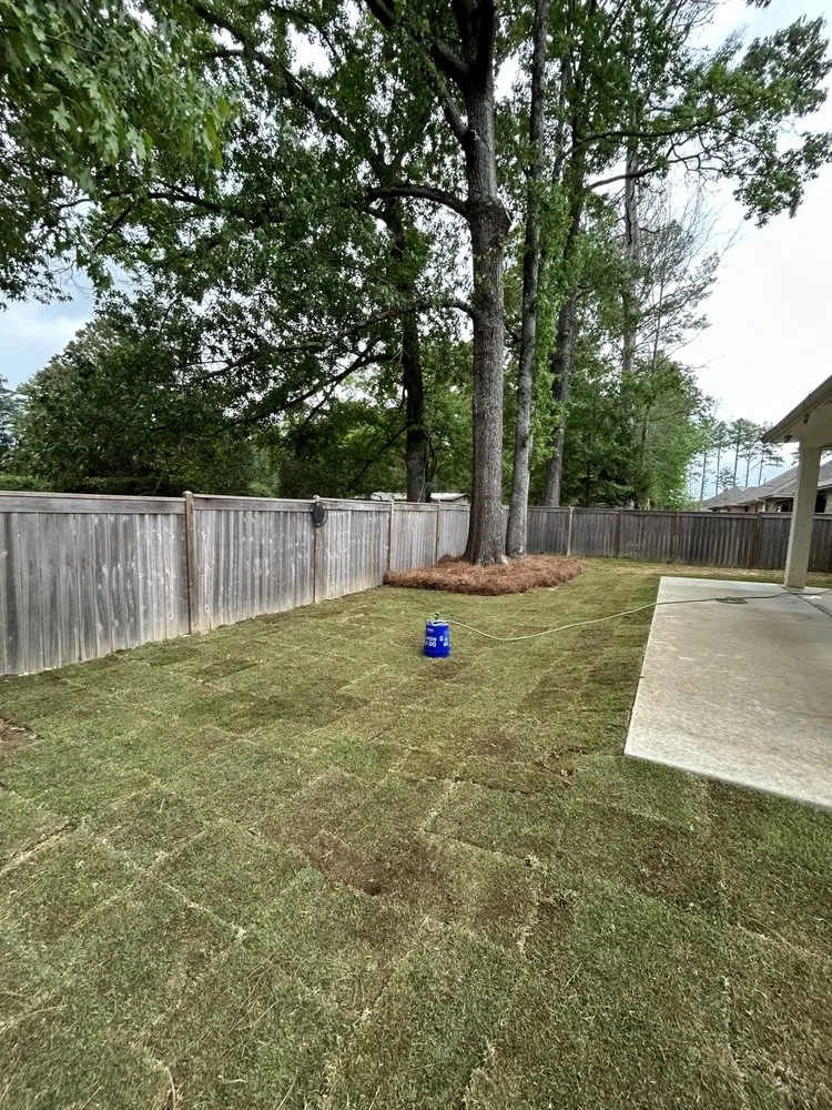 Reliable outdoor landscaping for beautiful yards across Pearl, MS - Triple R Land & Transportation