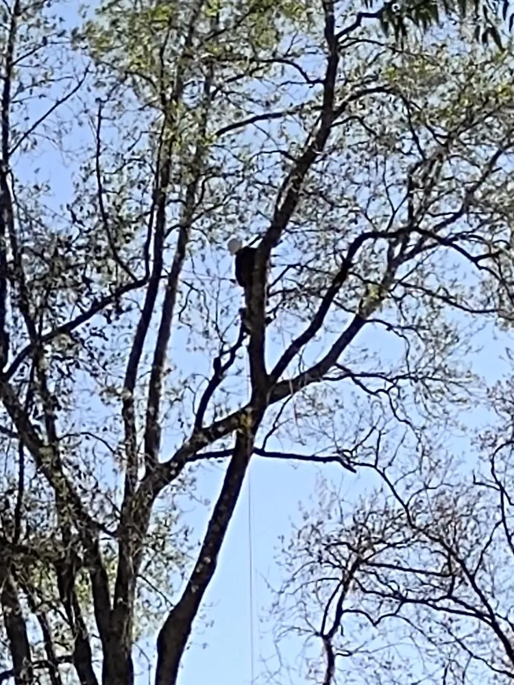 Custom landscape installation for residential properties across Conyers, GA - Triple R Landscaping Services