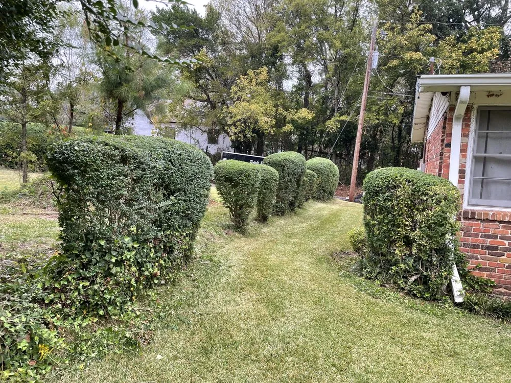 Reliable lawn mowing service experts serving Greenville, AL - Triple R Lawn Care