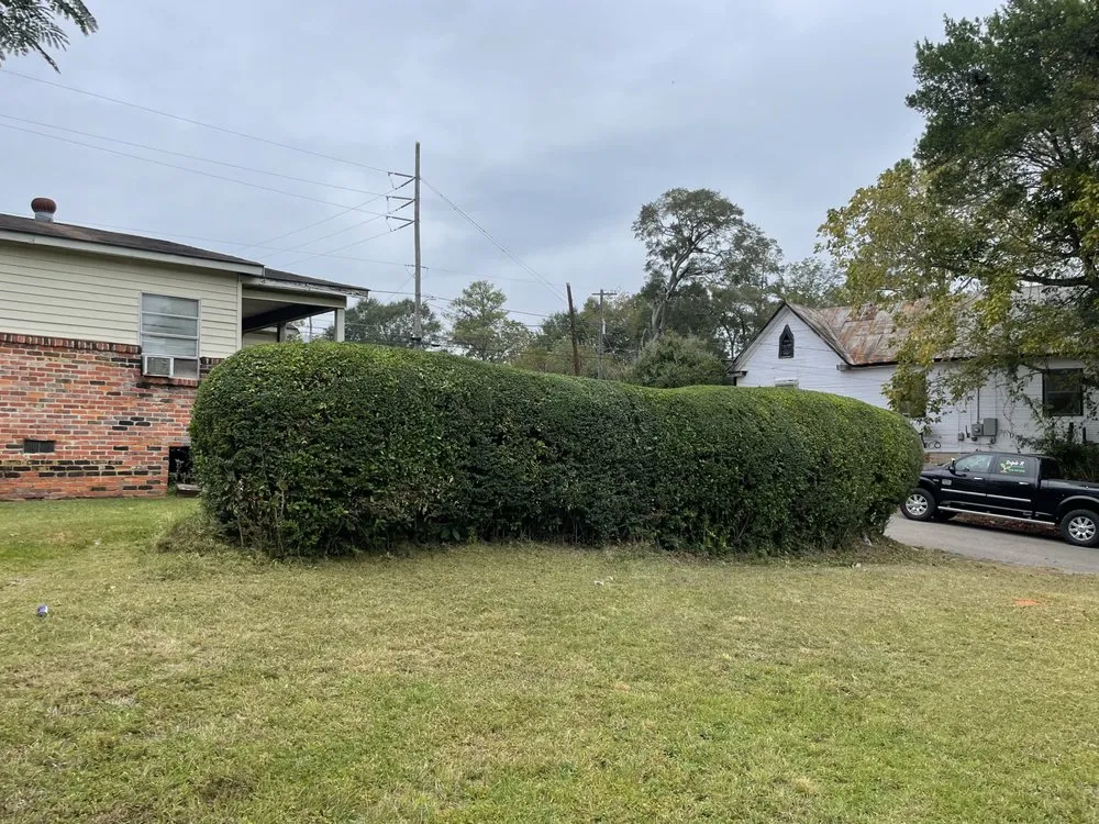 Top-rated landscaping services in Greenville, AL - Triple R Lawn Care