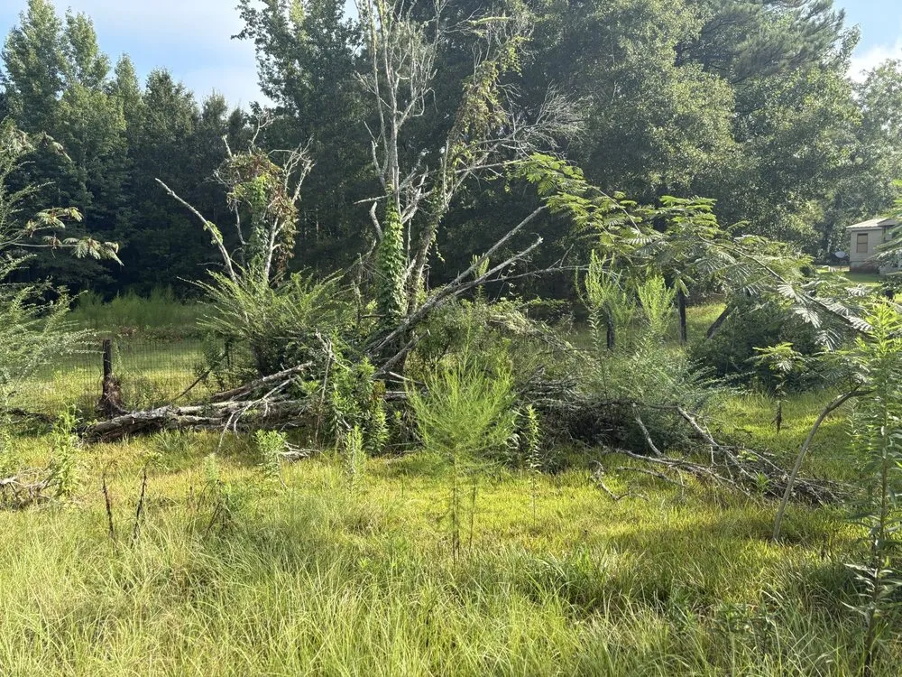 Affordable garden landscaping experts serving Greenville, AL - Triple R Lawn Care