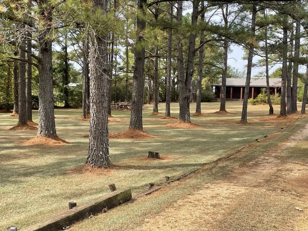 Custom residential landscaping in Greenville, AL by Triple R Lawn Care