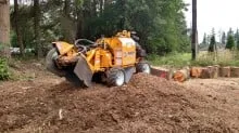 Trusted yard maintenance in Deming, WA by Triple R Stumpgrinding
