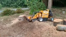 Professional outdoor landscaping experts serving Deming, WA - Triple R Stumpgrinding