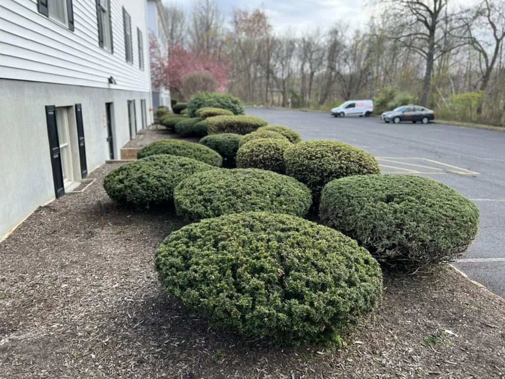 Reliable yard maintenance with custom design in Matawan, NJ by Triple S. Holdings