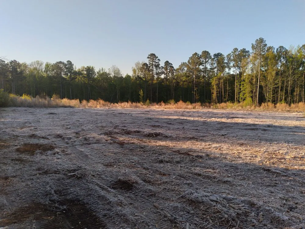 Reliable yard cleanup service near you in West Columbia, SC by Triple S Land Management