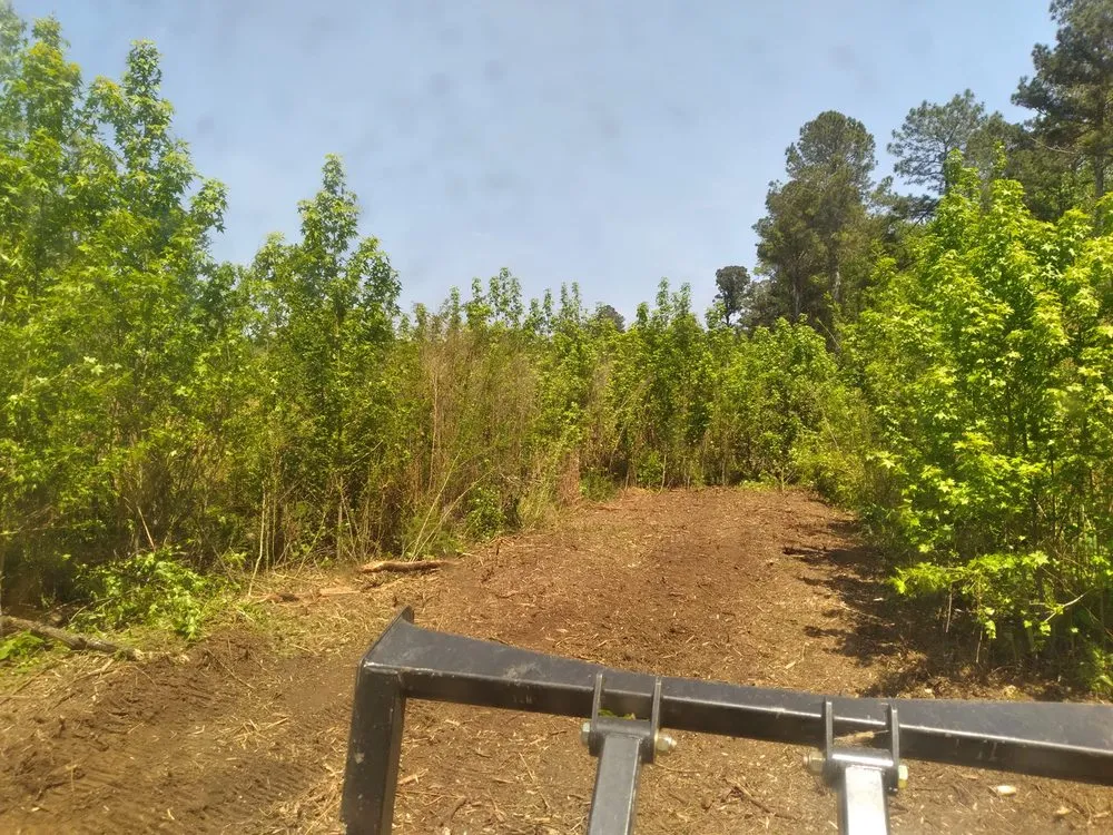 Custom lawn mowing service near you across West Columbia, SC - Triple S Land Management