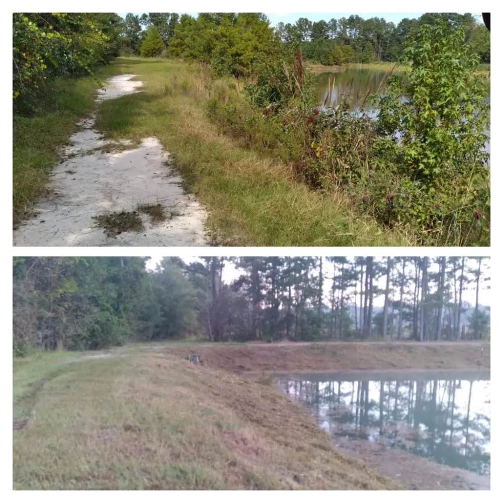 Reliable yard cleanup service for homes in West Columbia, SC by Triple S Land Management