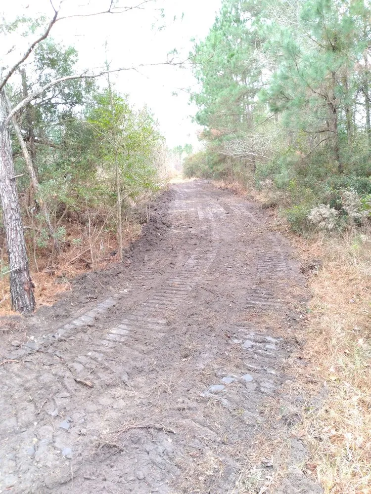 Top-rated landscaping services in West Columbia, SC - Triple S Land Management