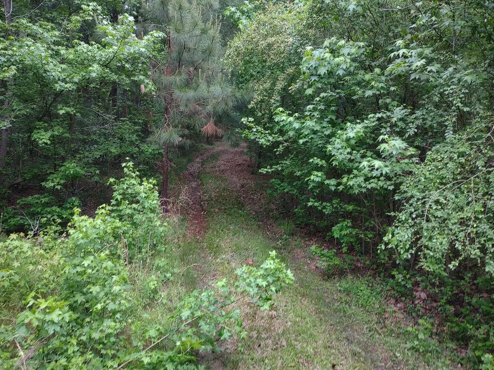 Custom landscape design with custom design across West Columbia, SC - Triple S Land Management