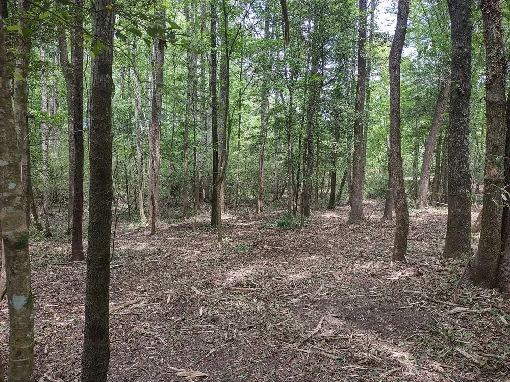 Local yard maintenance in West Columbia, SC by Triple S Land Management