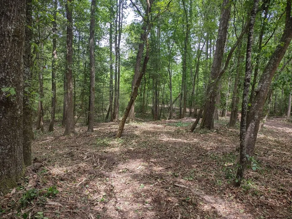 Reliable landscaping services for homes in West Columbia, SC by Triple S Land Management