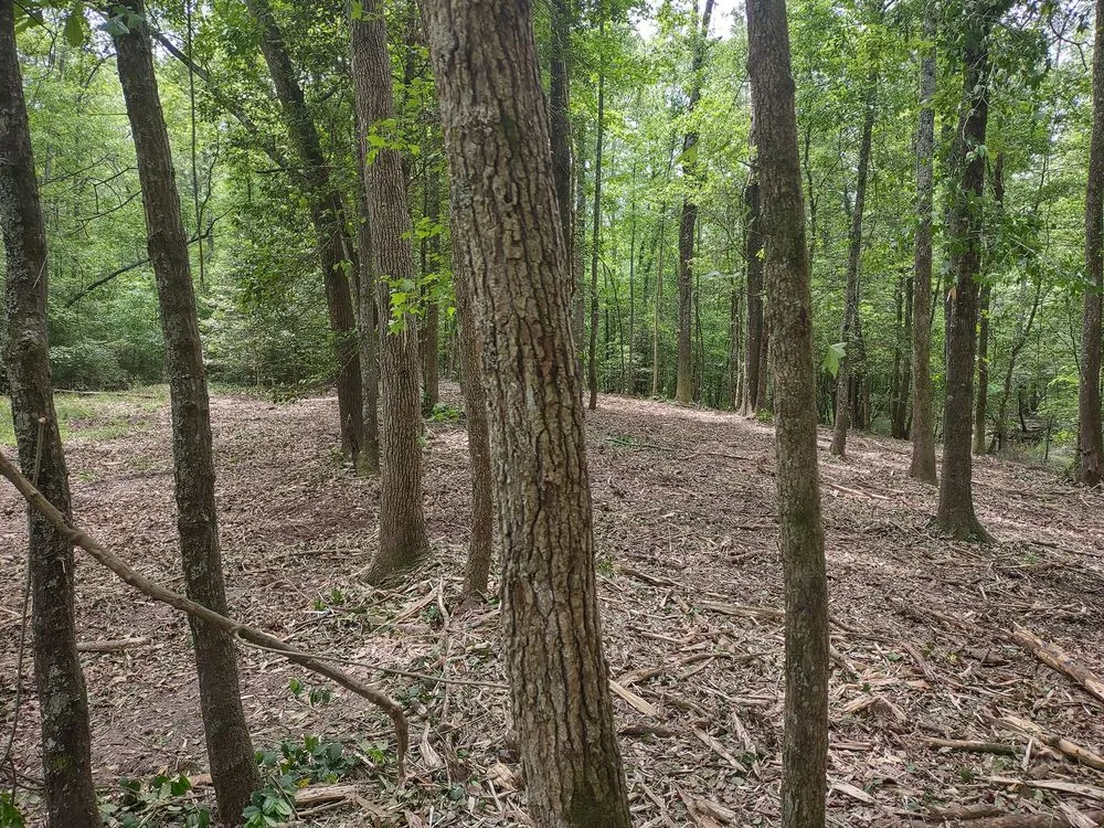 Top-rated garden landscaping in West Columbia, SC - Triple S Land Management