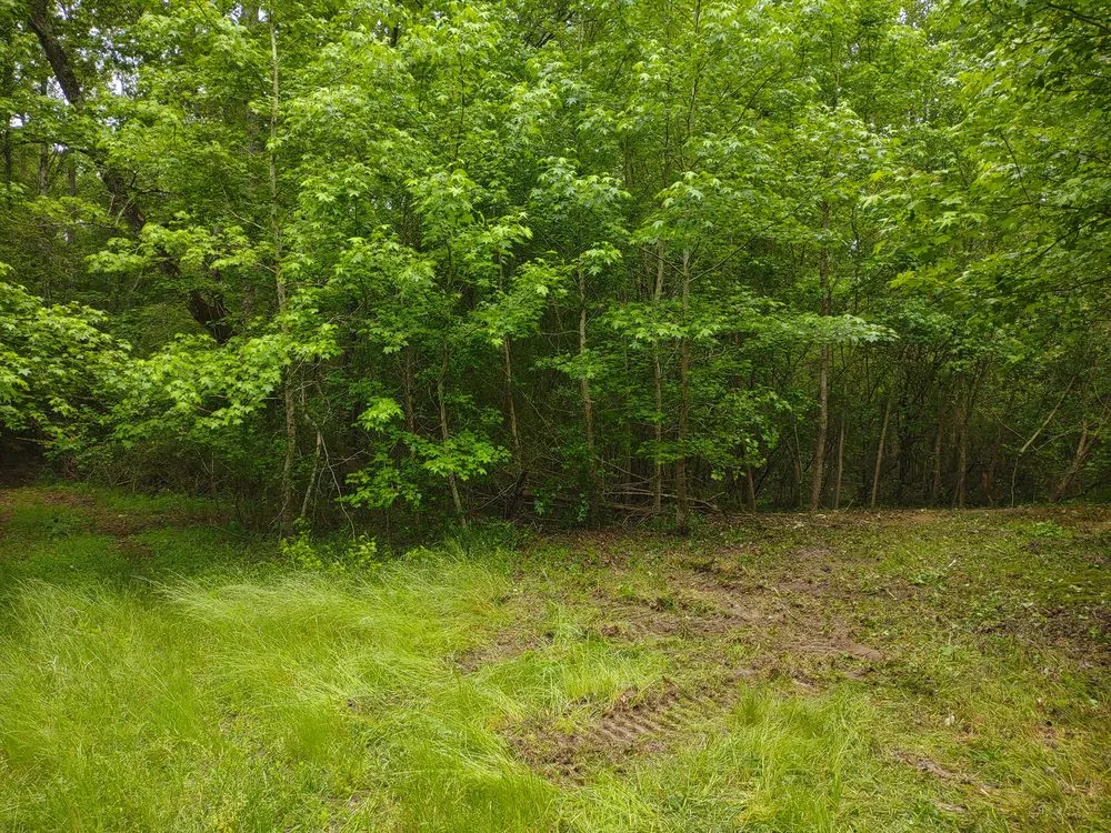 Top-rated garden landscaping in West Columbia, SC by Triple S Land Management