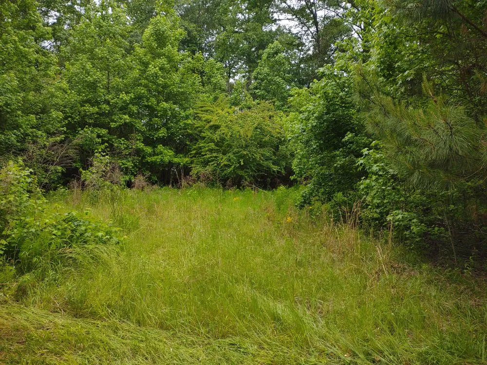 Professional landscape installation for outdoor upgrades in West Columbia, SC by Triple S Land Management