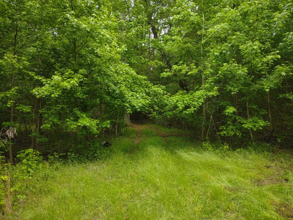 Custom landscaping services experts serving West Columbia, SC - Triple S Land Management