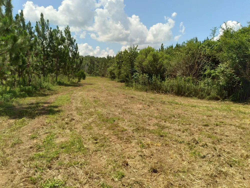 Top-rated landscape design experts serving West Columbia, SC - Triple S Land Management