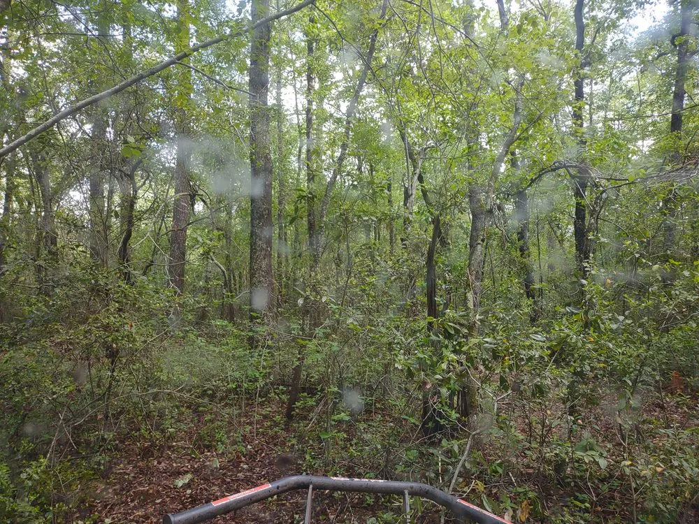 Reliable garden landscaping for outdoor upgrades across West Columbia, SC - Triple S Land Management