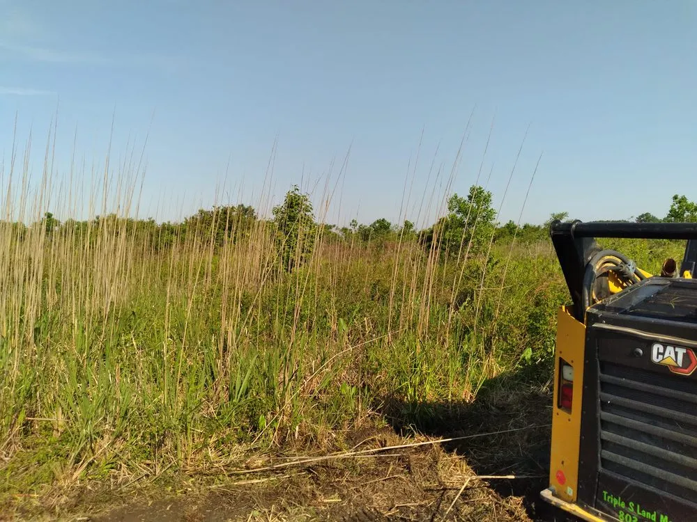 Local yard cleanup service experts serving West Columbia, SC - Triple S Land Management