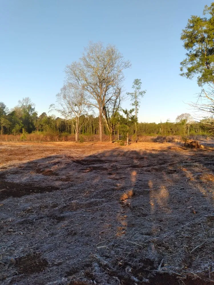 Professional yard maintenance for homes across West Columbia, SC - Triple S Land Management