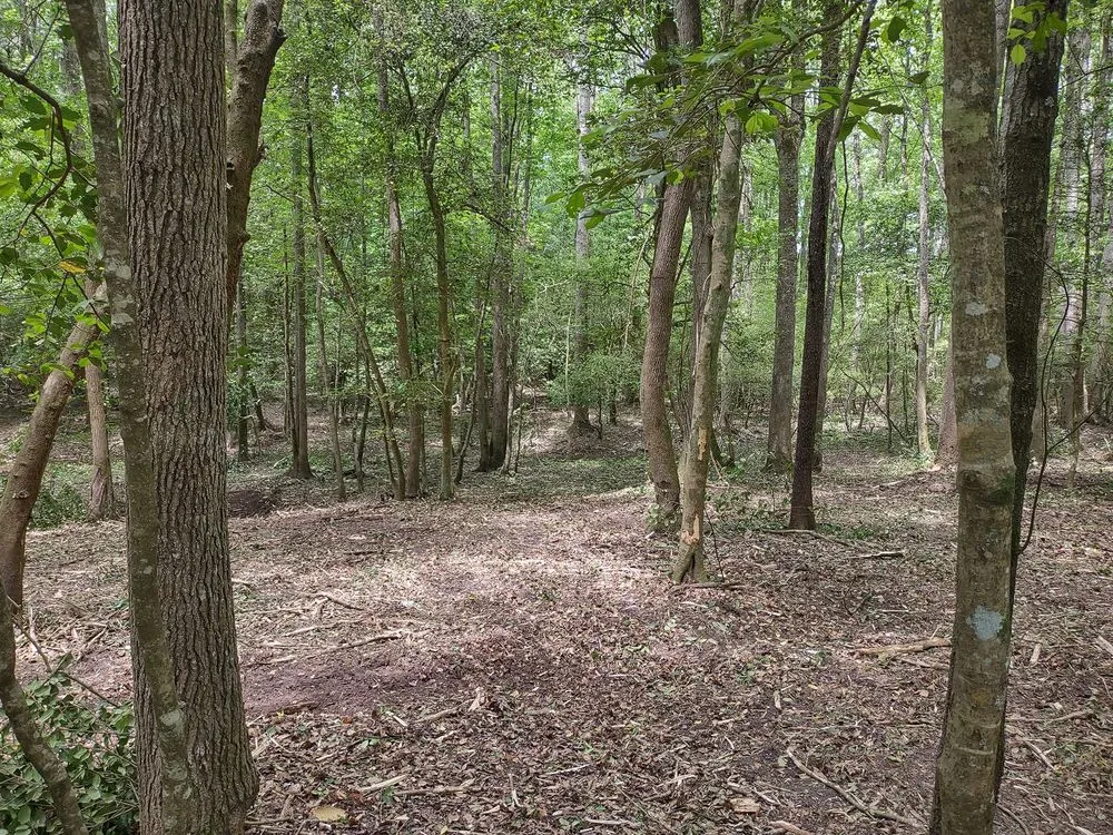 Affordable lawn care service in West Columbia, SC - Triple S Land Management