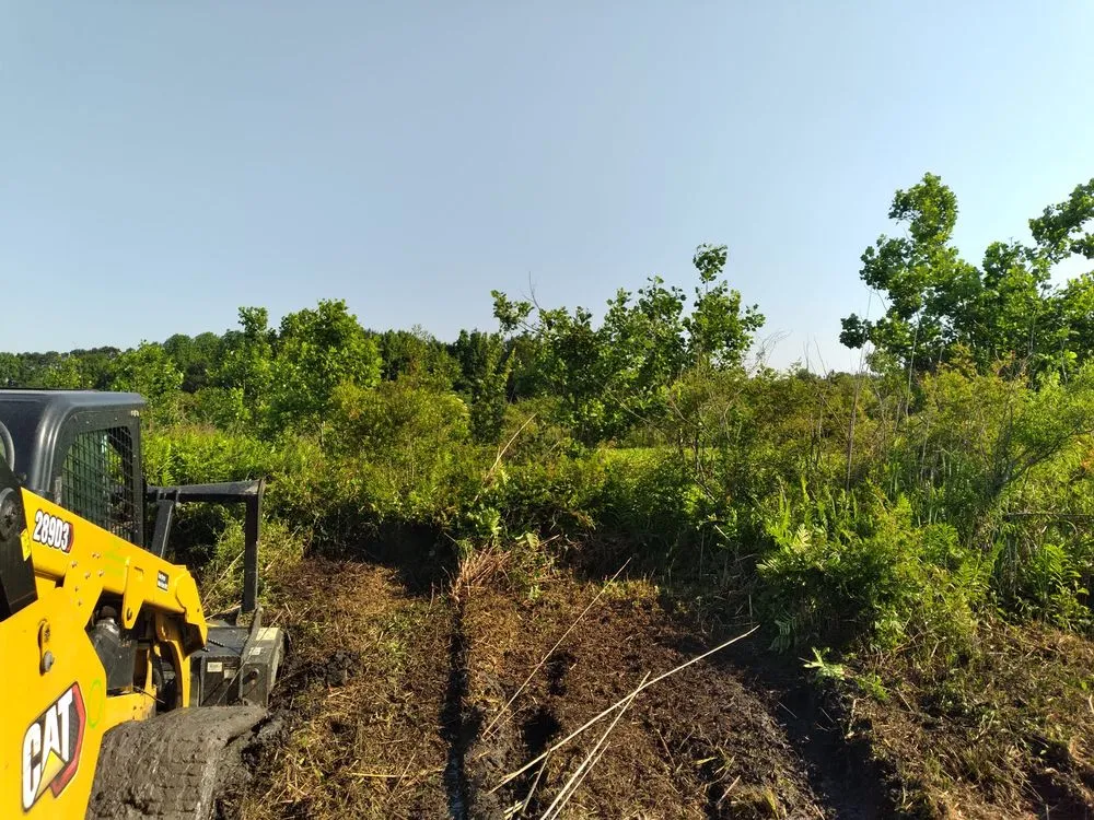 Professional lawn mowing service in West Columbia, SC by Triple S Land Management