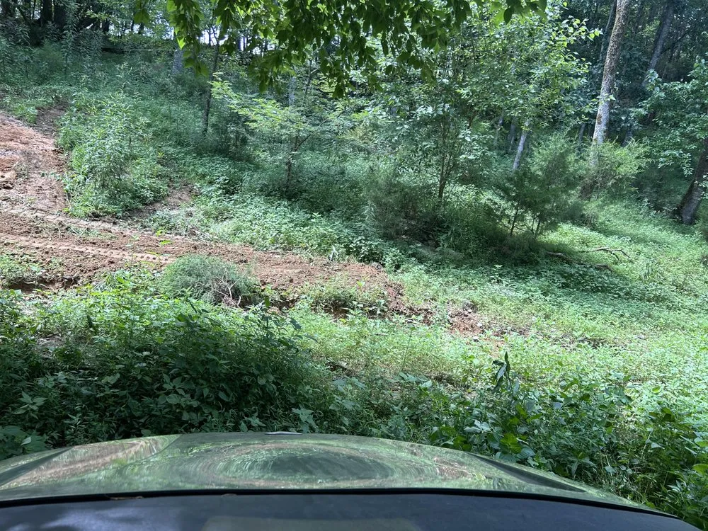 Expert landscaping services in Fayetteville, TN - Triple s Landmangnent