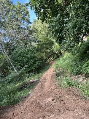 Triple s Landmangnent Logo