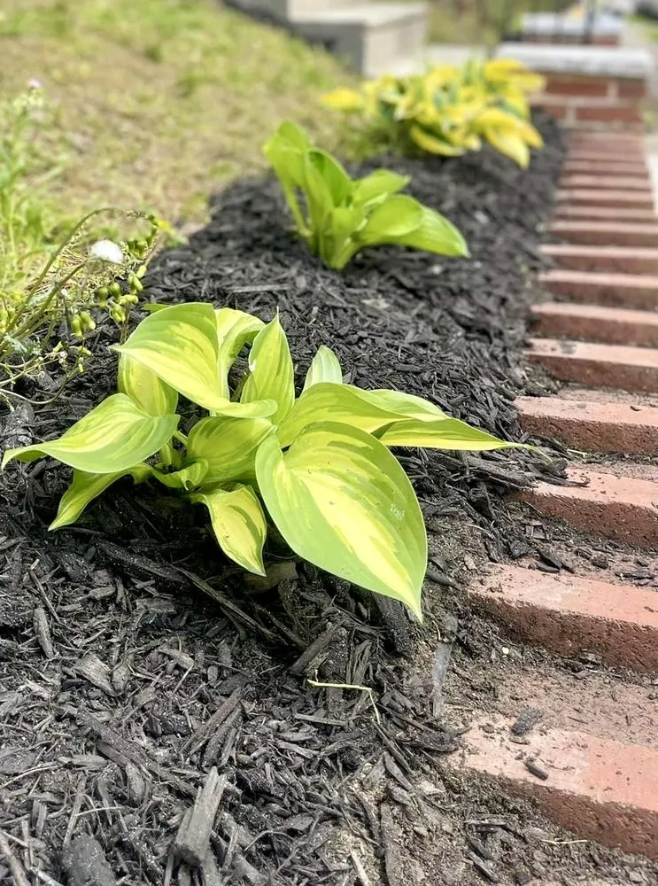 Expert yard cleanup service for outdoor upgrades across Philadelphia, PA - Triple S Landscaping